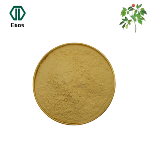 Chất lượng cao <span class=keywords><strong>notoginseng</strong></span> lá chiết xuất từ rễ notoginsenoside Panax <span class=keywords><strong>notoginseng</strong></span> chiết xuất từ rễ - Product Image 2