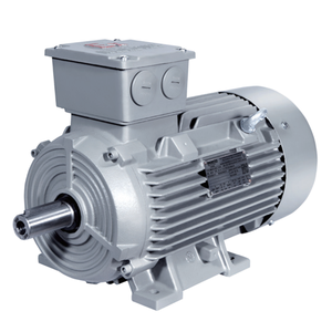 Motor de Inducción Trifásico a Prueba de Explosiones Innomotics Ie3 IP65, 50Hz/60Hz, Inomotriz, Ie3 IP65 Trifásico - Product Image 6