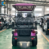 Voiturette électrique Robetaa homologuée pour la route, suspension indépendante, batterie au plomb-acide, voiturette de golf électrique - Offre Spéciale