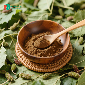 Herbspirit Bulk Supply Mulberry Leaf <strong>Extract</strong> <strong>Powder</strong> - Product Image 2