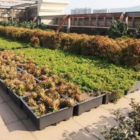 Bac à plantes modulaire pour toit vert Living Green, jardinière de toit de 20 cm de hauteur, en plastique écologique, pour jardin domestique avec trou de drainage