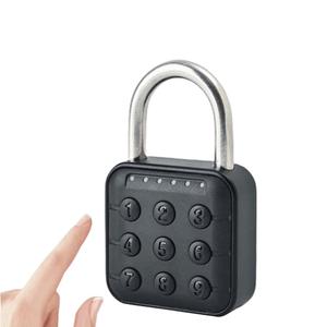 Impermeable IP65 CR2032 batería Digital gabinete casillero cerraduras inteligente combinación electrónica Alta Seguridad equipaje contraseña candado - Product Image 2