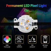 Module LED intelligent étanche SHIJI 30 mm RGBW, lumière ponctuelle à pixels, IP67, éclairage de piste extérieur permanent pour Noël