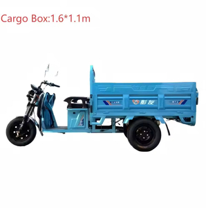 2025 Nieuwe 60V 1000W Blauwe Open 1.6m Elektrische Driewieler met 800kg Laadvermogen 30-50km/u 90km voor Transport - Product Image 3