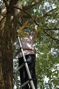 Chất Lượng Cao <span class=keywords><strong>5.8M</strong></span> Nhôm Kính Thiên Văn Thang - Product Image 5