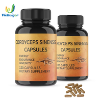 Capsules d'extrait de plantes de champignon Cordyceps Sinensis de marque privée de prix d'usine pour adulte améliorent l'immunité 60/90/120