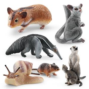 xinhen Figurines de simulation transfrontalières de hamster, escargot, petaurin, suri, marmotte, animaux de la forêt, modèles statiques de bureau - Product Image 1