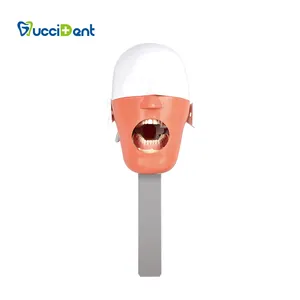 Manichino dentale testa fantasma testa dentale simulatore manichino per l'insegnamento del simulatore dentale testa fantasma