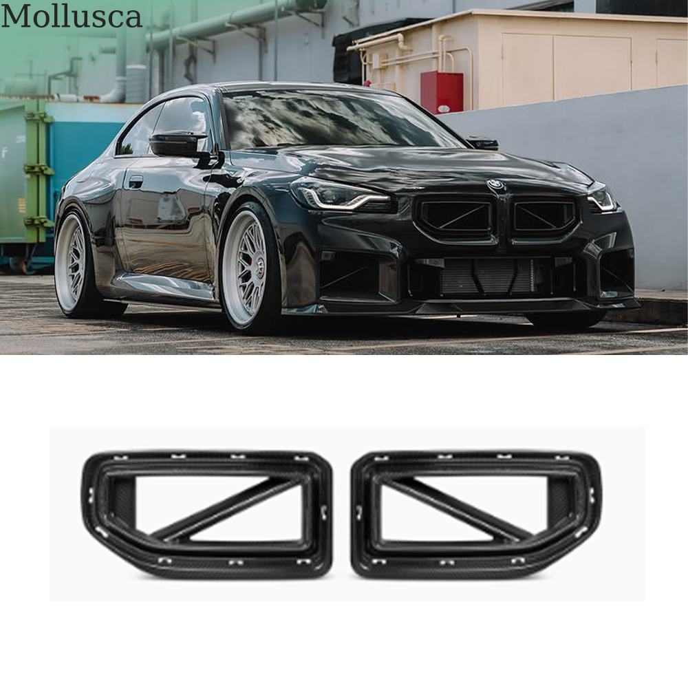 Parrilla delantera de carbono seco