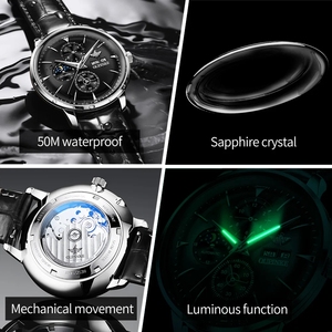 OUPINKE 3309 <b>Mechanical</b> Wrist watch for Men Auto Date Moon Phase Waterproof TOP Brand Man Hand <b>Clock</b> Leather Strap Men Watches - Product Image 2