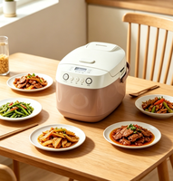 Autocuiseur Électrique Multifonction Grande Capacité FT50G 5L (10 Tasses de Riz) 860W pour Approvisionnement en Gros