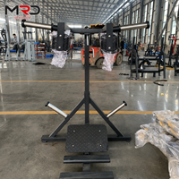 Rack d'entraînement en acier pour squats et soulevés de mollets, à charge par plaques, pour le renforcement des mollets en salle de sport