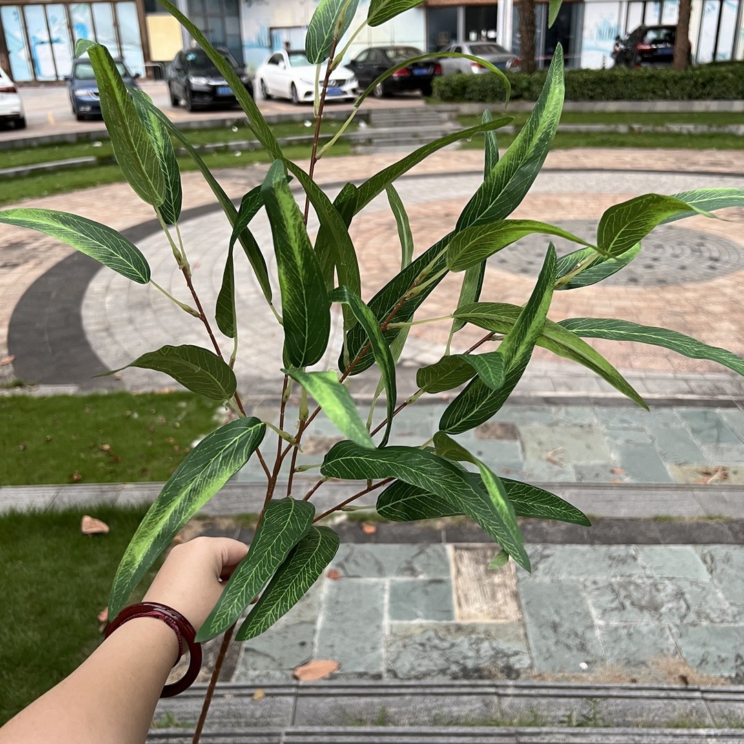 6 fourchettes de feuilles d'eucalyptus vertes