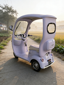 Triciclo Eléctrico de 3 Ruedas HengQiao (Homologado por DOT y EEC) Diseño Abierto de 2 Plazas, Autonomía de 50-70 km, Velocidad de 30-50 km/h, Capacidad de Subida de 25 Grados para Zonas Lacustres - Product Image 4