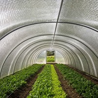 Isolation Réfléchissante pour Toit de Maison Conteneur Écologique Moderne avec 95% de Réflexion et R4.0 pour Cabines Préfabriquées