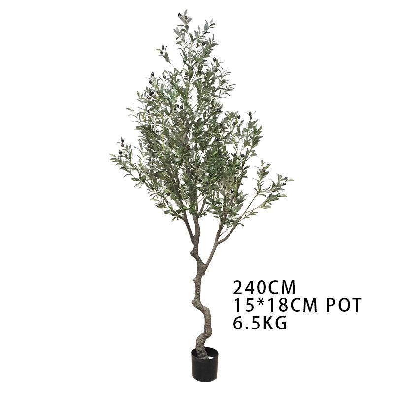 240cm/olivo