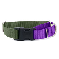 Collier Martingale pour Chien en Nylon Simple, Robuste, Durable, Léger et Réglable avec Anneaux en Métal