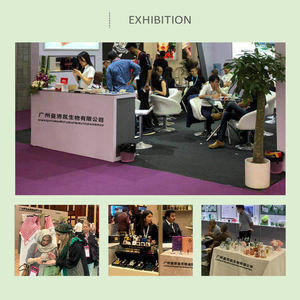 OEM ODM Reed diffusore di fabbrica di lunga durata 8000 + dubai Aroma oli profumo essenza profumo profumo profumo olio <span class=keywords><strong>per</strong></span> la produzione di Reed diffusore - Product Image 5