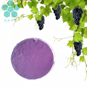Uva en polvo de zumo de fruta de uva orgánica seca por pulverización natural