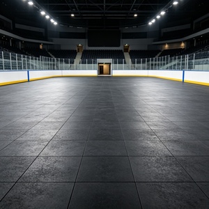 Inolp Complete Sports Court Solution Full Set Materials One-<b>Stop</b> Solution Field Hoxkey Rink Tile Cover Court - Product Image 1
