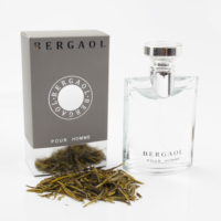 Parfum féminin, flacon en verre rectangulaire transparent, bouchon argenté, boîte grise, feuilles de thé vert, minimaliste, longue tenue