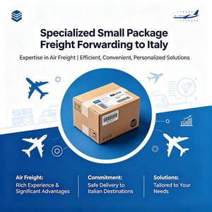 Agente de Dropshipping de China a Italia, Servicio de Envío de Paquetes Pequeños de 0-5 kg por Vía Aérea, Servicio DDP 3PL para Shopify, Etsy, Amazon - Product Image 2