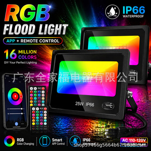 Projecteur RGB 25W IP66 avec contrôle par application pour éclairage extérieur de jardin et de scène - Product Image 1