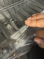 Cage à poules pondeuses de type H avec système de gestion automatique, équipement avicole, gestion automatique