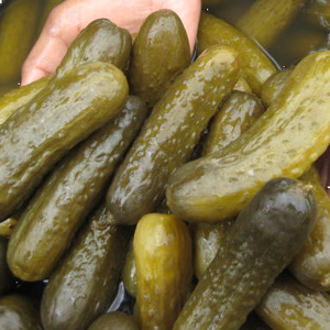 Concombres fermentés au sel, légumes conservés en saumure |   Fournisseur de cornichons marinés emballés en vrac dans des fûts - Product Image 5