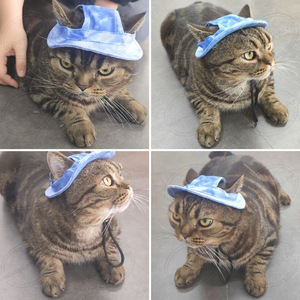 Chapeau de soleil réglable en coton doux pour animaux de compagnie Chapeau de seau extérieur Protection solaire Bonnet pour chien - Product Image 3