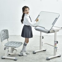 Ensemble de table d'étude ergonomique bon marché pour l'école chambre salon plastique rose bleu gris
