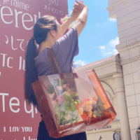Vente en gros de vêtements personnalisés de luxe avec logo emballage transparent en PVC pour le Ramadan sac cadeau pour shopping Eid en plastique transparent