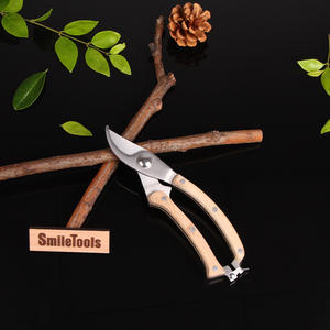 Herramientas de Podar para Ramas y Brotes Delicados de Plantas en Maceta con Mango de Madera al por Mayor - Product Image 1