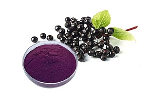Extracto de Saúco en Polvo |   Extracto de Plantas Naturales de Grado Alimenticio, Suministro al por Mayor - Product Image 1