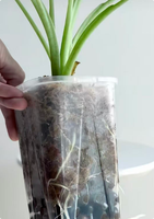 Pot Tanaman Persegi Mini 8cm Hitam dari Plastik PP Tanpa Lapisan Ramah Lingkungan Tahan Lama Ringan Dapat Disesuaikan untuk Tanaman Dalam dan Luar Ruangan