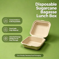 Boîte à clapet compostable en bagasse de canne à sucre, conteneur alimentaire jetable biodégradable pour la vente en gros aux restaurants