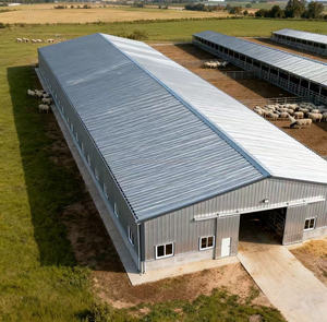 Entrepôts d'élevage, poulaillers, fermes, bâtiments agricoles en acier préfabriqué de conception industrielle moderne - Product Image 1