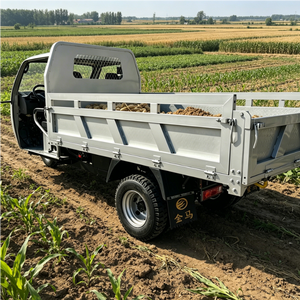 Triciclo <span class=keywords><strong>de</strong></span> Carga Pesada <span class=keywords><strong>de</strong></span> 3000 kg con Motor <span class=keywords><strong>de</strong></span> 999 cc Refrigerado por Agua T1000 para <span class=keywords><strong>Trabajo</strong></span> Agrícola - Product Image 4
