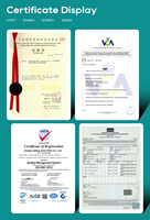 Pièce auto 3773010AM01AB 3773020AM01AB Feu arrière pour Changan BENBEN E-STAR