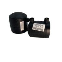 HDPE Electrofusion Fabricant tuyau en plastique hdpe Embout dn63mm