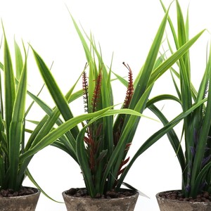 Plantas suculentas artificiales verdes <span class=keywords><strong>de</strong></span> estilos para la decoración del jardín del hogar <span class=keywords><strong>boda</strong></span> arreglo <span class=keywords><strong>de</strong></span> la pared <span class=keywords><strong>de</strong></span> plantas - Product Image 5