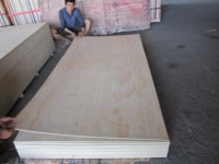 Solid Radiata Pine Wood Furniture Board Modern Design Edge Glued Joint Timber Board
