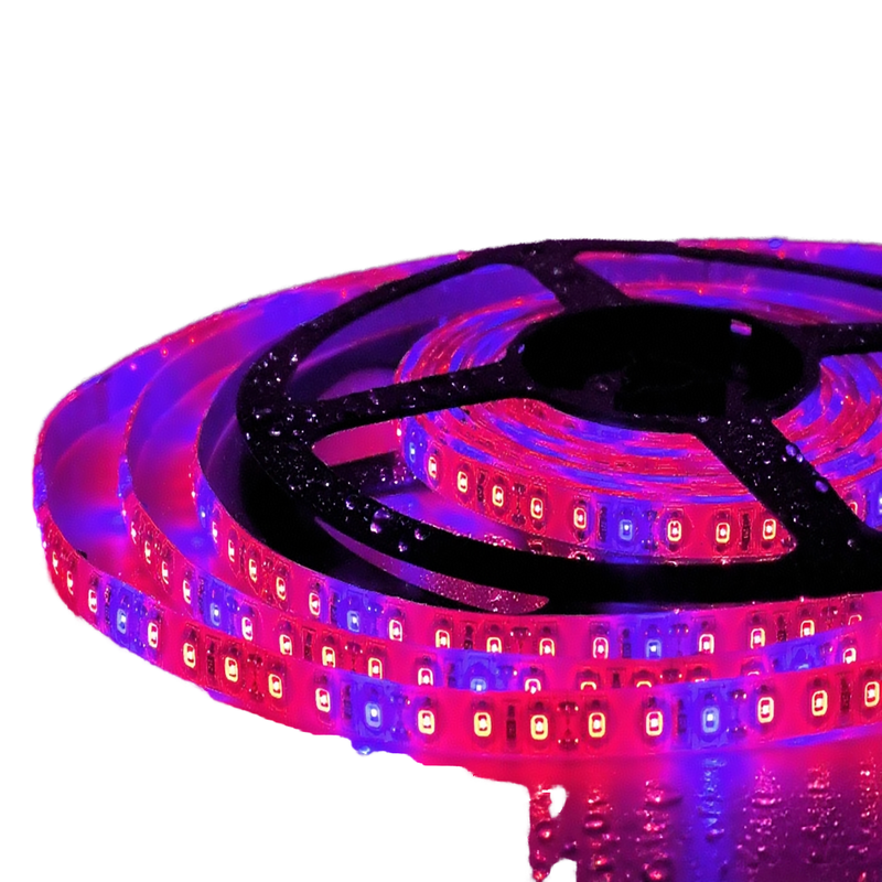 Plant Grow Light Strip 2835 SMD