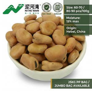 Haricots secs chinois (<span class=keywords><strong>Vicia</strong></span> <span class=keywords><strong>Faba</strong></span>) |   Haricots de qualité alimentaire pour la consommation humaine |   Vente en gros en vrac, sac PP de 25 kg - Product Image 1