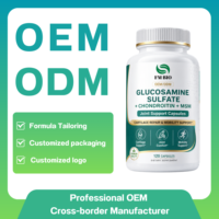 120 Capsules de Glucosamine Chondroïtine MSM – Complément pour la Mobilité Articulaire et le Soutien du Cartilage – Marque Privée OEM Disponible
