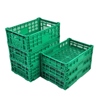 Robuuste 24L opvouwbare plastic opvangbak - milieuvriendelijke, stapelbare, geventileerde bak voor bulk fruit/groenten