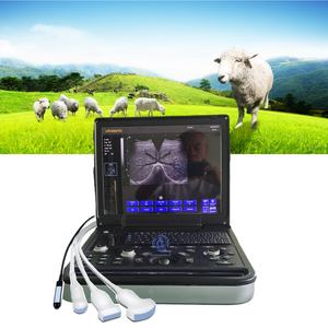 Échographe portable pour animaux, échographie vétérinaire, scanners sonores, diagnostic médical pour animaux de compagnie, échographie portable - Product Image 1