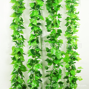 Guirnalda de Hojas Verdes Artificiales de Pothos para Colgar en la Pared, Decoración Interior, Plástico de Alta Simulación, Hojas Perennes, 5 Tiras, 99 Hojas - Product Image 1