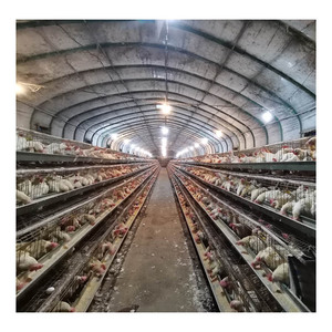 Grande ferme avicole au design moderne Cages à poulets avec batterie galvanisée automatique Cage à oiseaux à <span class=keywords><strong>vendre</strong></span> au Zimbabwe - Product Image 4