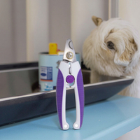 Coupe-ongles pour chiens et chats, coupe-griffes, fabricant d'outils de toilettage pour animaux de compagnie en acier inoxydable, écologique, durable, pour usage intérieur